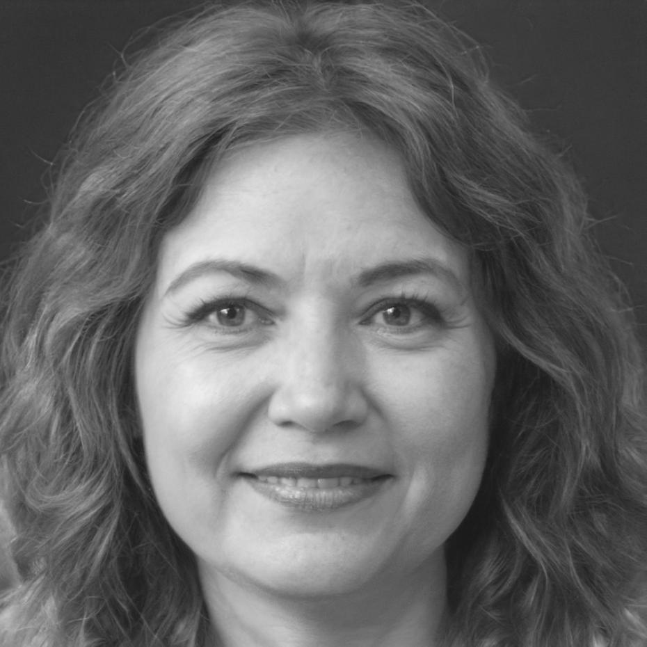 Financial analysis expert leading discussion